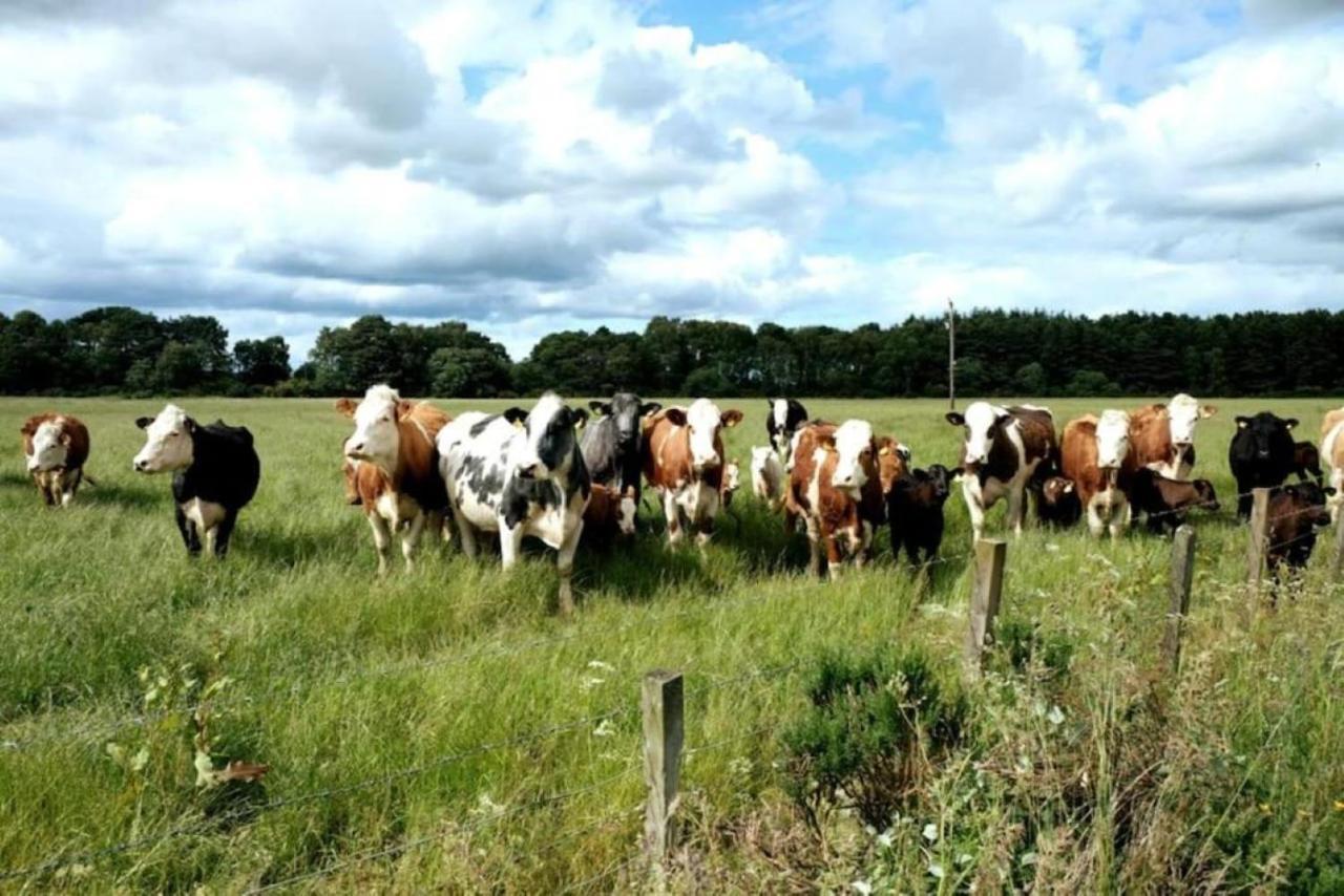 Lower Bruntlands Fochabers Esterno foto
